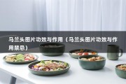 马兰头图片功效与作用（马兰头图片功效与作用禁忌）