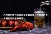荠荠菜的功效与作用及营养价值（荠荠菜的作用和药用价值和用法）