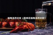 杨梅汤的功效（洛神花杨梅汤的功效）