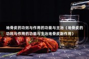 地骨皮的功效与作用的功能与主治（地骨皮的功效与作用的功能与主治地骨皮副作用）